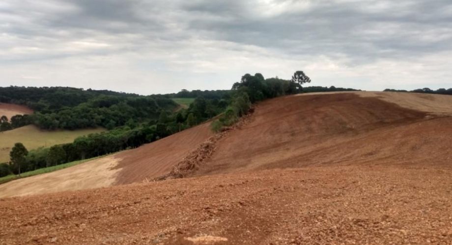 Mais de 6 hectares de mata foram destruídas na área que fica localizada no interior de Lagoa Vermelha