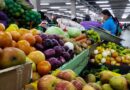 Vegetariana X vegana: qual dieta à base de plantas é a mais saudável e sustentável? Entenda