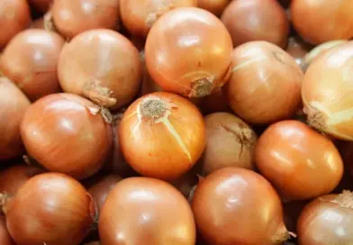 Mercado da cebola tem grande oscilação entre as safras no RS