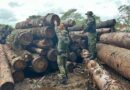 Brigada Militar apreende mais de 60 metros cúbicos de madeira irregular em Água Santa