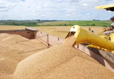 Safra de grãos deve atingir 354,4 milhões de toneladas no Brasil e 40,7 milhões de toneladas no Rio Grande do Sul