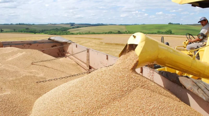 Safra de grãos deve atingir 354,4 milhões de toneladas no Brasil e 40,7 milhões de toneladas no Rio Grande do Sul