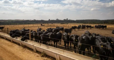 Atividade econômica brasileira cresce 2,5% em 2025