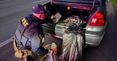 Polícia Rodoviária Federal prende mulher com mais de 70 quilos de drogas na BR-101, em Torres