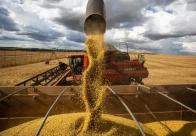 Brasil não tem onde armazenar 40% da safra recorde de grãos