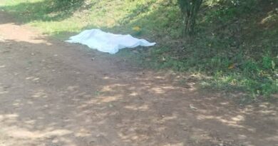 Corpo é encontrado no interior de Sertão