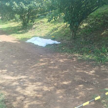 Corpo é encontrado no interior de Sertão