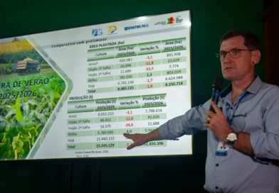 Colheita de soja deve chegar a 19,01 milhões de toneladas, redução de 11,3%, anuncia Emater na Expodireto