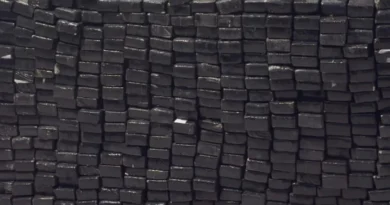 Brigada Militar apreende 420 quilos de maconha em São Leopoldo