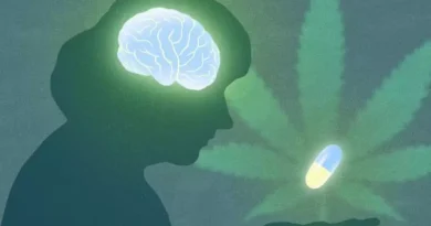 O efeito da cannabis sobre idosos com Alzheimer