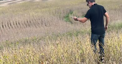 Corpo é encontrado em lavoura na Transbrasiliana, interior de Passo Fundo