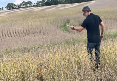 Corpo é encontrado em lavoura na Transbrasiliana, interior de Passo Fundo
