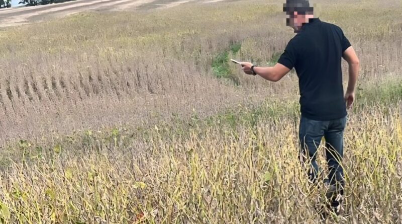 Corpo é encontrado em lavoura na Transbrasiliana, interior de Passo Fundo