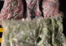 Polícia Rodoviária Federal apreende 5 mil comprimidos de ecstasy em Torres, no litoral gaúcho