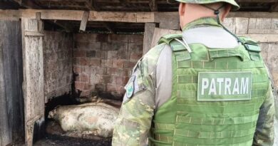 Brigada Militar flagra crimes ambientais em São Domingos do Sul