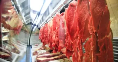 União Europeia vai proibir a compra de carne e animais do Brasil a partir de setembro