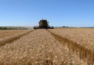 Agronegócio gaúcho movimenta 3,2 bilhões de dólares em exportações no primeiro trimestre