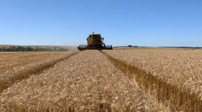 Agronegócio gaúcho movimenta 3,2 bilhões de dólares em exportações no primeiro trimestre