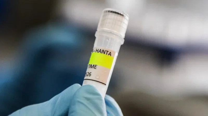 Hantavírus: entenda o cenário de casos registrados no Brasil