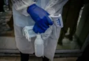 Entenda o que causa a epidemia de ebola e quais são os riscos para o Brasil