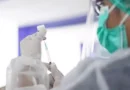 Chikungunya: Anvisa autoriza produção nacional da vacina do Instituto Butantan