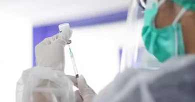 Chikungunya: Anvisa autoriza produção nacional da vacina do Instituto Butantan