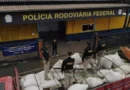 Polícia apreende cerca de 800 quilos de maconha escondidos em carga de caminhão na BR-386, em Lajeado, no Vale do Taquari