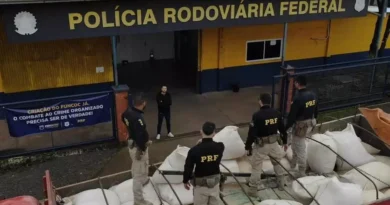 Polícia apreende cerca de 800 quilos de maconha escondidos em carga de caminhão na BR-386, em Lajeado, no Vale do Taquari