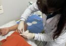 Secretaria de Saúde de Tapejara amplia atendimento à saúde da mulher com o Implanon