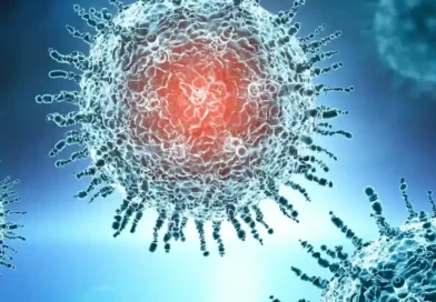 Rio Grande do Sul divulga orientações aos serviços de saúde sobre procedimentos para possíveis casos suspeitos de Ebola