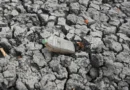 Meteorologistas alertam para possível El Niño histórico com impactos globais no clima e na agricultura