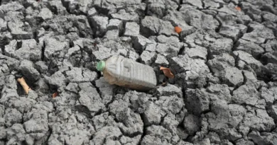 Meteorologistas alertam para possível El Niño histórico com impactos globais no clima e na agricultura