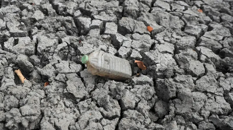 Meteorologistas alertam para possível El Niño histórico com impactos globais no clima e na agricultura