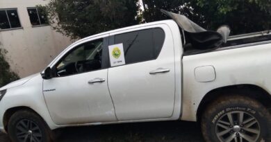 Adolescentes são apreendidos transportando caminhonete furtada para a Argentina
