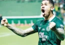 Grêmio insiste por lateral-direito do Goiás