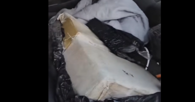 PRF apreende 191 kg de maconha em veículo furtado após perseguição na BR-386, em Sarandi