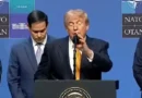 Trump desmonta comissão eleitoral dos Estados Unidos a quatro meses das eleições parlamentares